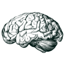 Company Brain